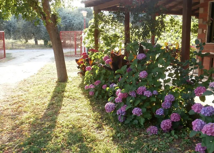 Apartamento Perseus