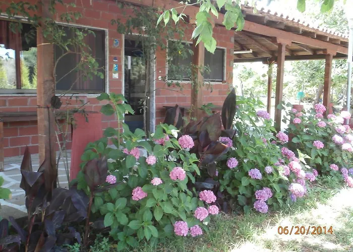Appartement Perseus Skala Rachoni (Thasos)