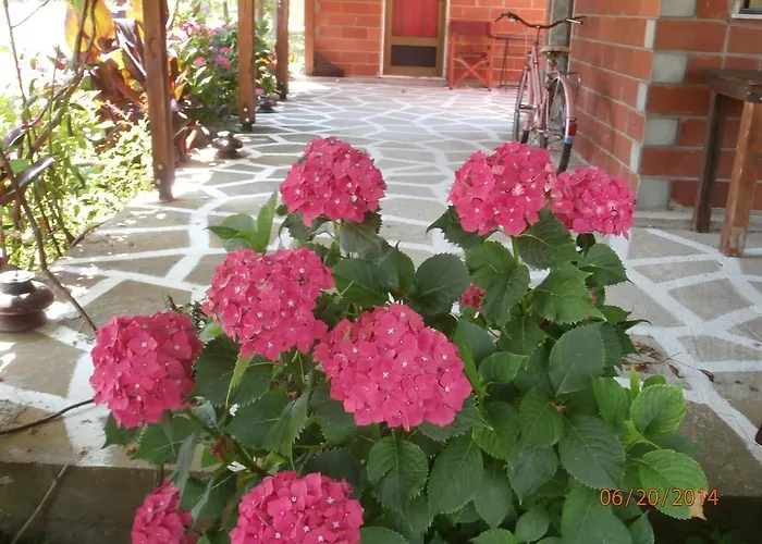 Perseus Appartement Skala Rachoni (Thasos)